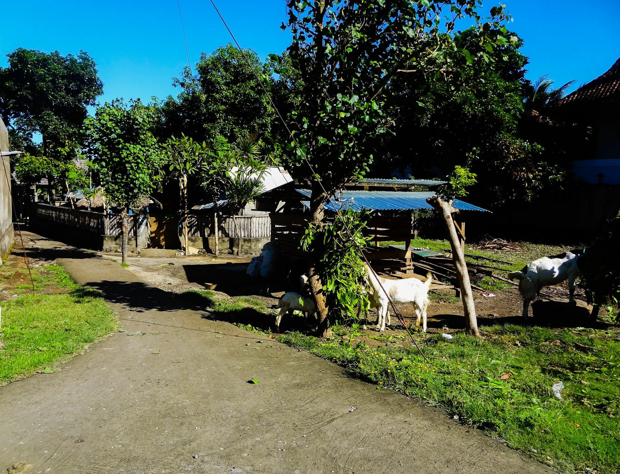 Teras Lombok Bungalow Senggigi Buitenkant foto